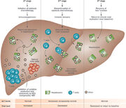 Nrclinonc.2012