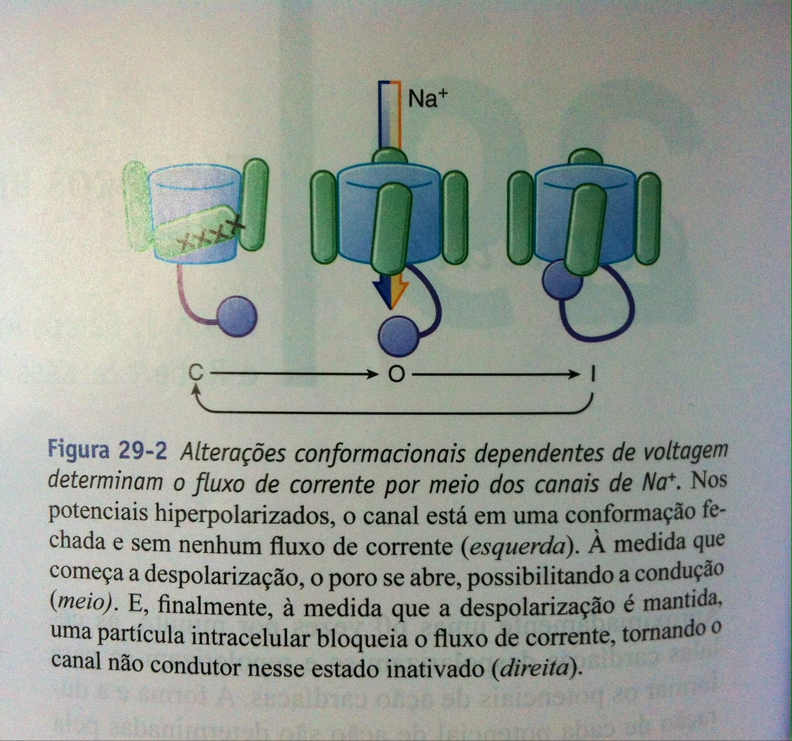 Michael Chandler as Thanos UFC Edit - Combatsports Marvel Mashup, image size:1569x1468