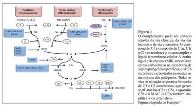A09fig01