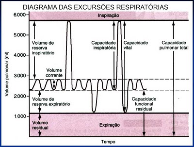 Volumes pulmonares