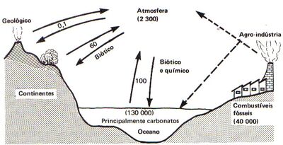 Ciclo do Carbono