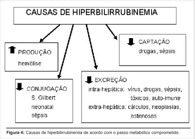 Causas