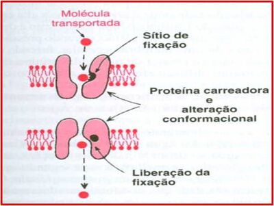 Difusao