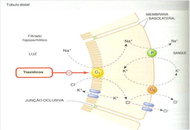Imagem1.emf