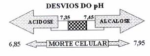 Acidobase5