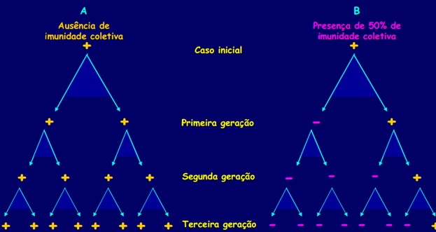Vacinas e padrões de imunidade