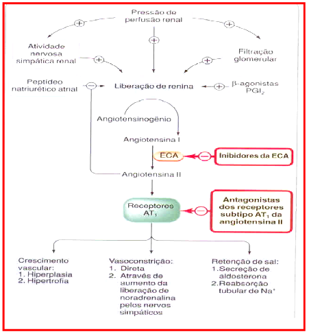 2 Mecanismos de Acao dos Anti-hipertensivos - Farmacologia I