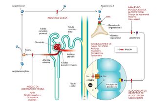 Bloqueador do receptor de aldosterona