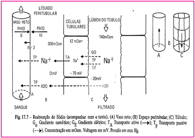 Farmaco esteroidais 1