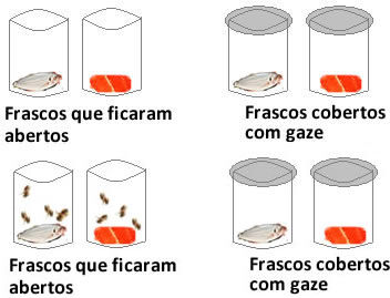 Experimento-de-redi(2).jpg