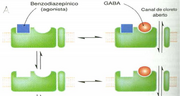 Receptor GABAa