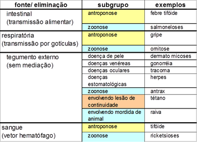 Classificação