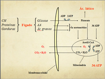 Choque 1