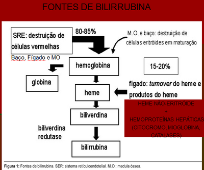 Fonte bilirrubina