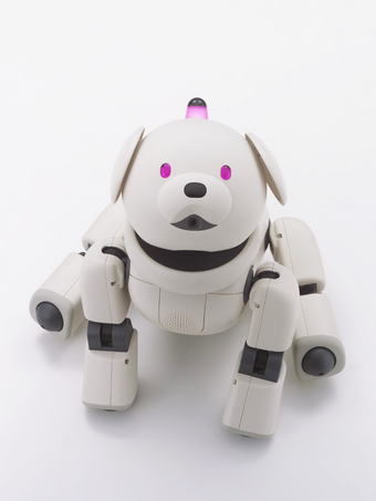 Junk)Sony Aibo Latte ERS-311 B/X Entertainment Robot Dog