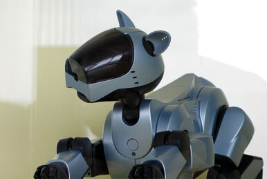 AIBO アイボ ERS-210 SONY 限定色エベレストホワイト Aibo Limited Color White ERS-210 Battery Reset Dog Shaped