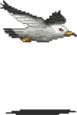 Seagull Sprite.png
