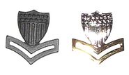 insignes de col