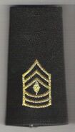 First Sergeant