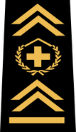 Adjudant-major (sous-officier incorporé dans l'état-major d'une brigade) (adj maj)