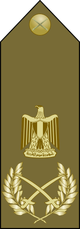 Field Marshal insignia