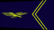 Aspirant première année de l’École de l'air (ancien grade d'Élève Officier EO)(septembre 2009)