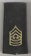 Sergeant-Major of the Army, avant 1995