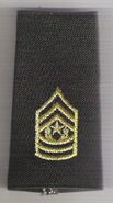 Command Sergeant Major