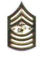Sergeant Major of the Marine Corps, insigne de col