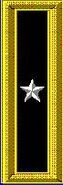 Brigadier General