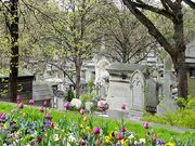 Pere Lachaise looking down the hill