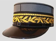 Divisionär.jpg (79 kio) Képi