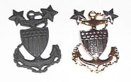 insignes de col