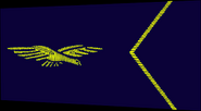 Élève-officier du personnel navigant uniquement porté par les élèves-officiers sous contrat pilotes ou navigateurs durant leurs cursus de formation. Statut et appellation : Sergent.