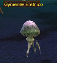 Gymenes eletrico.jpg