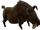 Wild Boar