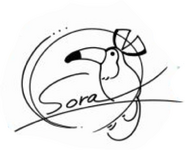 Sora autografo