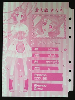 Aikatsu! Brand Collection | Aikatsu Wiki | Fandom