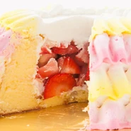 Dresscake6.jpg (40 KB)