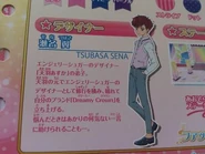 Tsubasa Sena