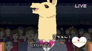 Llama-chan