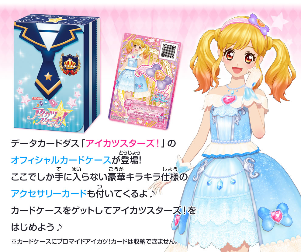 Data Carddass Aikatsu Stars! Official Card Case | Aikatsu Stars! Wikia ...