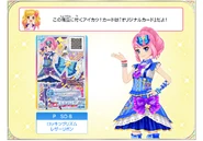 Img dvd08 card.jpg (406 KB)