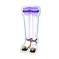 Np05 h1 r co 001 s01