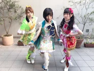 MkNnsSn1.jpg (177 KB)