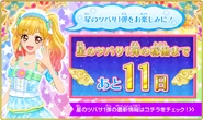 Hoshinotsubasa 1st countdown 11.png (367 KB)
