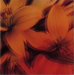 1994 Ambivalence | Ai no Kusabi Wikia | Fandom