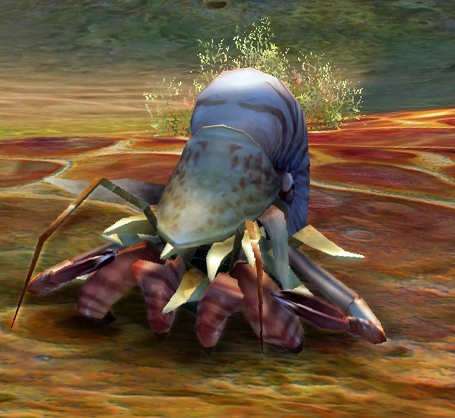 Spiral Lobnite | Aion Wiki | Fandom