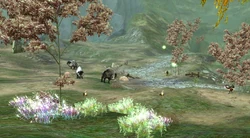 Anturoon Crossing