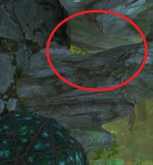 Suspicions Box location